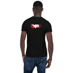 Men's Spring Tee